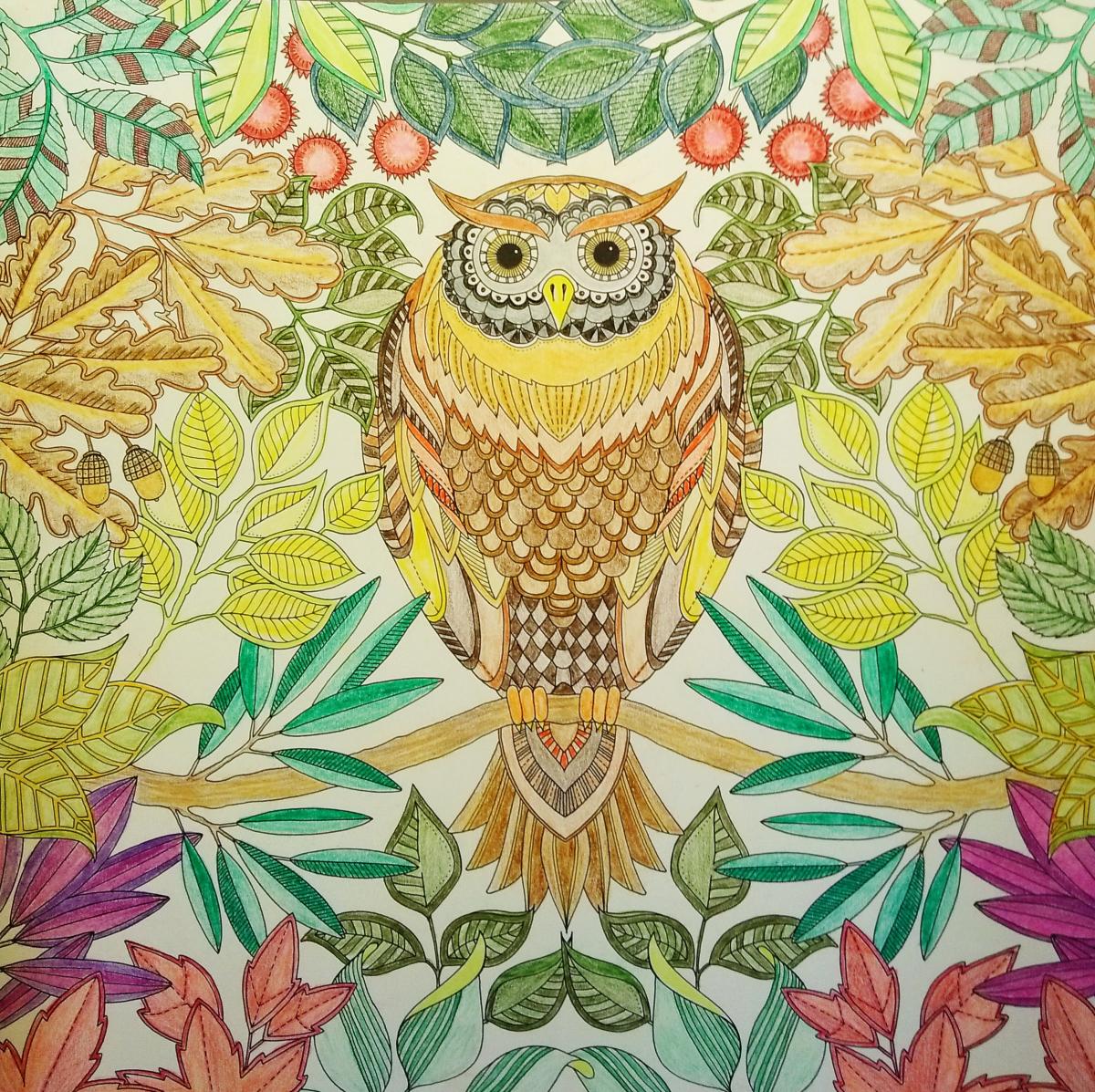 Golden Owl