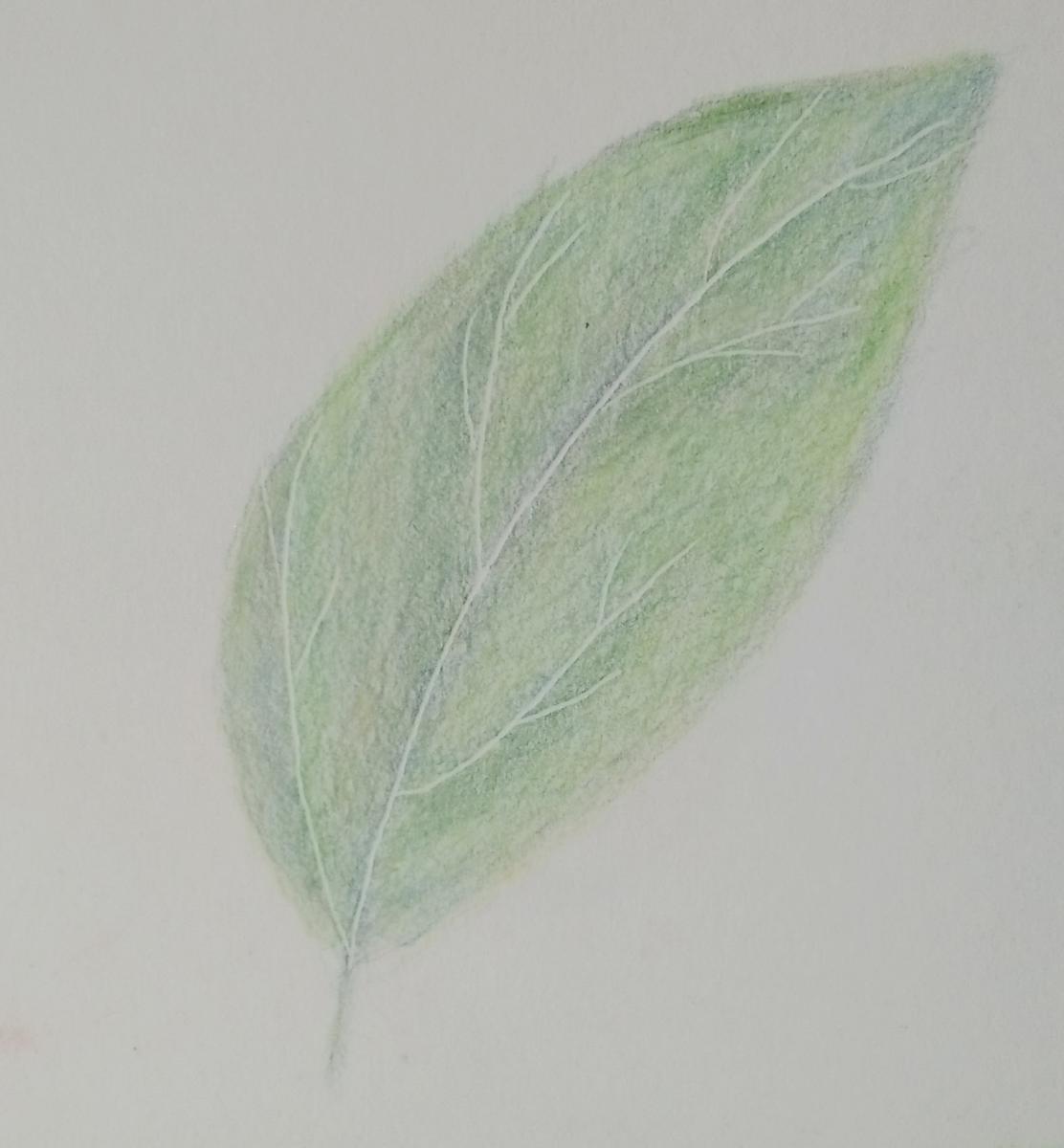 100- First Green Leaf