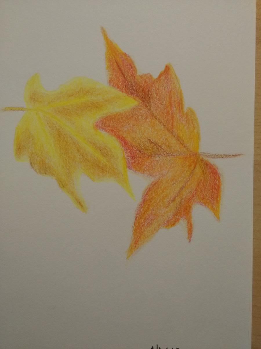 121-Yellow and Orange Maple leaves