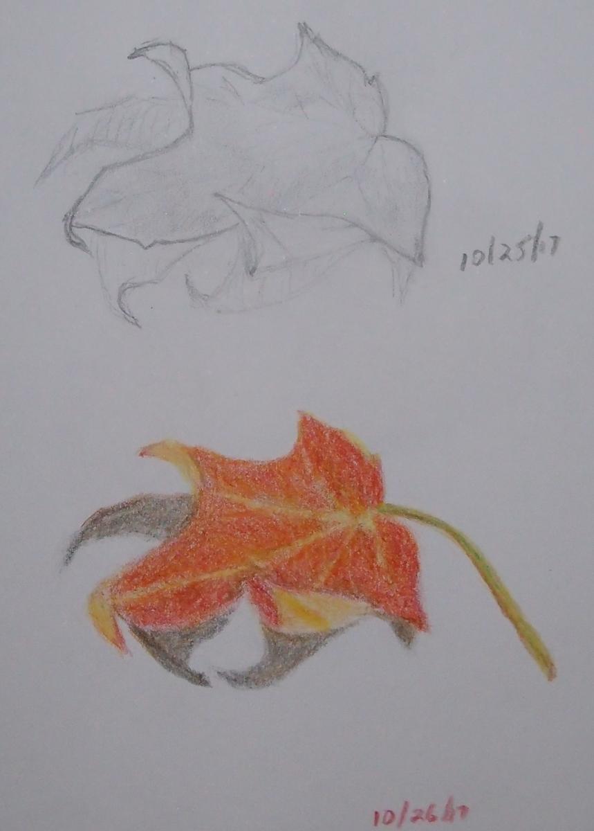 103-Curly Oak leaf