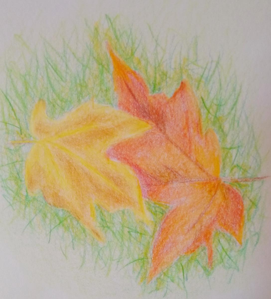 122-Yellow and Orange Maple leaves