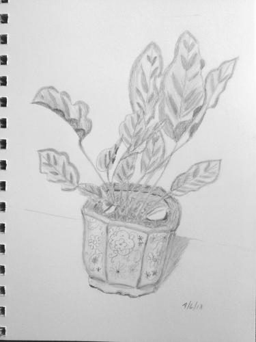 340 - Pretty Pot 