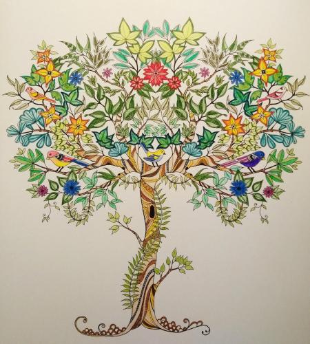 Bird Tree