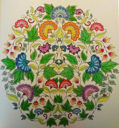 Fan Flowers