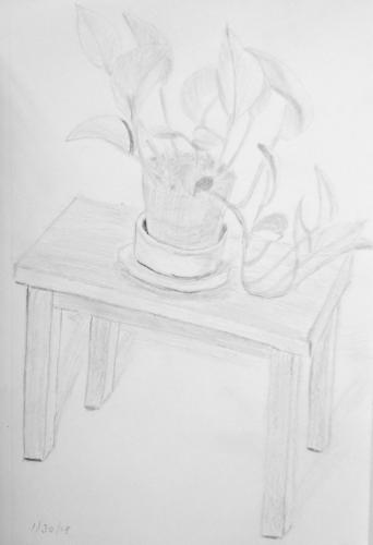 221-My Philodendron 2 Sketch